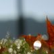 mindfulness gratis