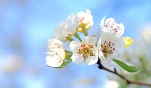 retiro mindfulness 2025