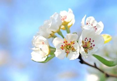 retiro mindfulness 2025