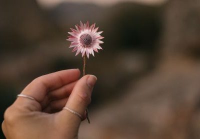 por qué hacer un MBSR