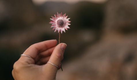 por qué hacer un MBSR