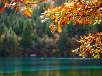 mindfulness gratis 2026