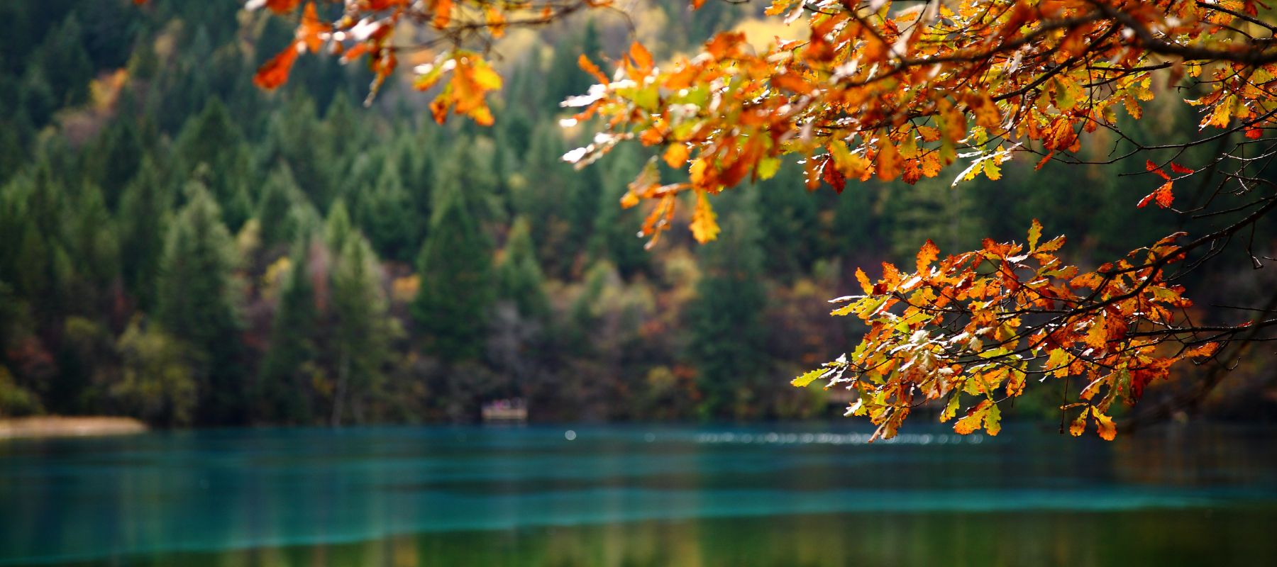 mindfulness gratis 2026
